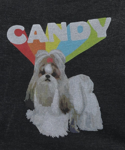 Candy Stripper（キャンディストリッパー）の「CANDY PUPPY Tシャツ（Tシャツ/カットソー・レディース・オフホワイト/イエロー/グリーン/ブラック・4/3/2）」の11枚目の写真