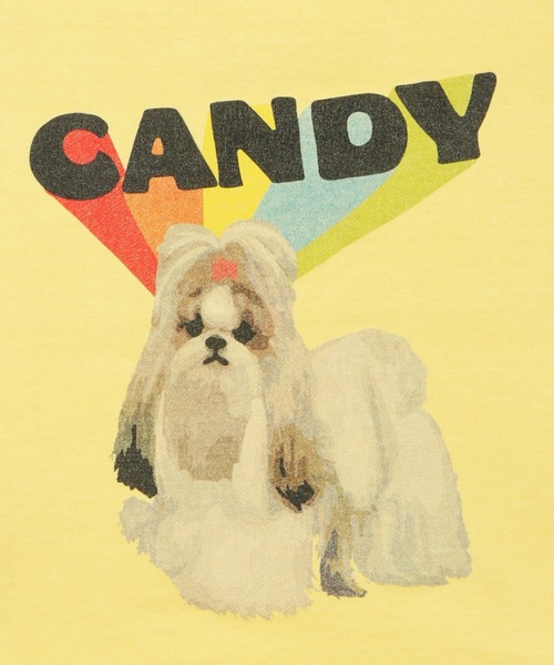 Candy Stripper（キャンディストリッパー）の「CANDY PUPPY Tシャツ（Tシャツ/カットソー・レディース・オフホワイト/イエロー/グリーン/ブラック・4/3/2）」の17枚目の写真