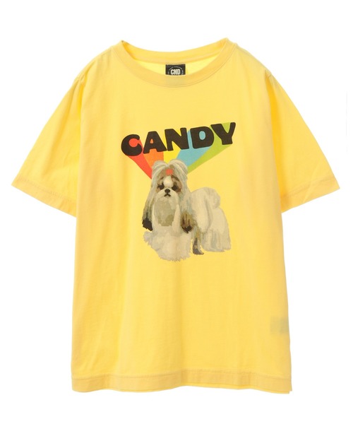 Candy Stripper（キャンディストリッパー）の「CANDY PUPPY Tシャツ（Tシャツ/カットソー・レディース・オフホワイト/イエロー/グリーン/ブラック・4/3/2）」の16枚目の写真