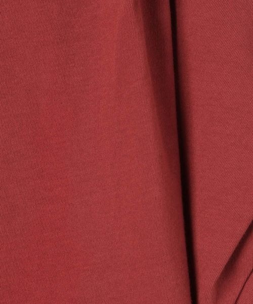 JEANASIS(ジーナシス)の「シャロークルーネックタックスリーブTEE/961739(Tシャツ/カットソー・レディース・ホワイト/ボルドー/スミクロ・FREE)」の21枚目の写真