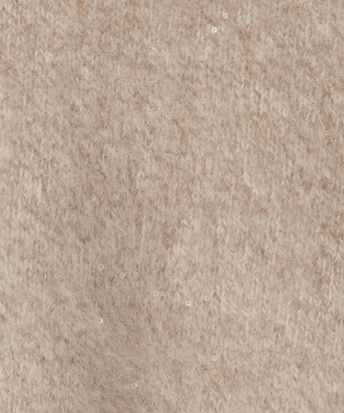 UNITED ARROWS（ユナイテッドアローズ）の「フォックスカシミヤ スパンコール クルーネックニット（ニット/セーター・レディース・その他1/その他2・FREE）」の15枚目の写真