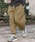CAMBIO�i�J���r�I�j�́ump13203-Bio Wash Ripstop Balloon Pants �o���[���p���c�i���̑��p���c�j�v�b�x�[�W��