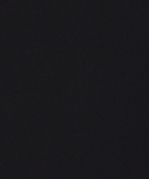 BALLSEY(ボールジィ)の「2-wayストレッチ タイ付きスタンドカラーブラウス(シャツ/ブラウス・レディース・ネイビー/ベージュ/ホワイト・36)」の17枚目の写真