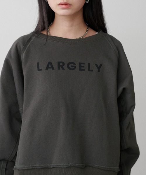 LARUTA（ラルータ）の「【LARUTA】ラグラン前後2WAYロゴ裏毛プルオーバー（Tシャツ/カットソー・レディース・オートミール/ピンク/チャコールグレー・FREE）」の4枚目の写真