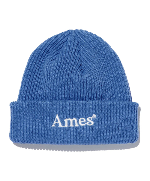 AMESWORLDWIDE(アメスワールドワイド)の「BASIC LOGO BEANIE SKY BLUE(ニットキャップ/ビーニー・レディース・その他・FREE)」の1枚目の写真