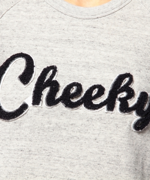 Another Edition(アナザーエディション)の「AE Cheeky SWEAT PO Ⅱ ◆(スウェット・レディース・グレー・フリー)」の2枚目の写真
