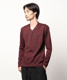 HIDEAWAYS NICOLE | カスレブリスタージャカードＶネック(Tシャツ/カットソー)