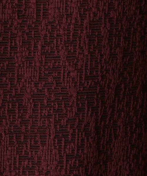 HIDEAWAYS NICOLE（ハイダウェイニコル）の「カスレブリスタージャカードＶネック（Tシャツ/カットソー・メンズ・ブラック×ホワイト/ホワイト×ブラック/レッド系その他・MEDIUM/LARGE/X-LARGE）」の9枚目の写真