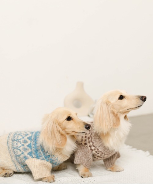 moncheri(モンシェリ)の「ノルディック柄ニット / 犬服 / ドッグウェア(ペットウェア・レディース・ベージュ/ブルー/モカ・S/M/L/XL/2M/XS)」の4枚目の写真