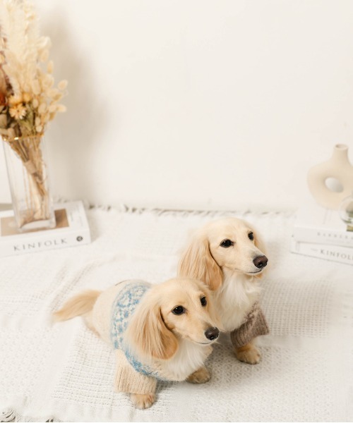 moncheri(モンシェリ)の「ノルディック柄ニット / 犬服 / ドッグウェア(ペットウェア・レディース・ベージュ/ブルー/モカ・S/M/L/XL/2M/XS)」の6枚目の写真