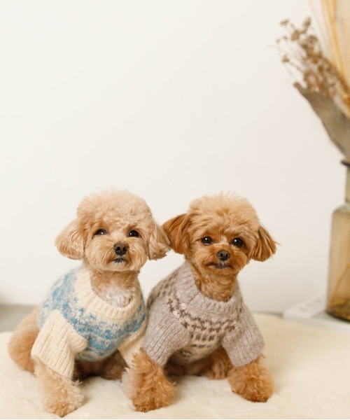 moncheri(モンシェリ)の「ノルディック柄ニット / 犬服 / ドッグウェア(ペットウェア・レディース・ベージュ/ブルー/モカ・S/M/L/XL/2M/XS)」の12枚目の写真