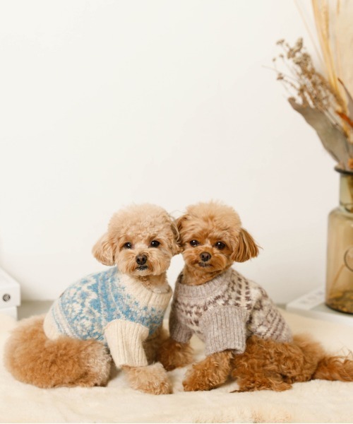 moncheri(モンシェリ)の「ノルディック柄ニット / 犬服 / ドッグウェア(ペットウェア・レディース・ベージュ/ブルー/モカ・S/M/L/XL/2M/XS)」の16枚目の写真