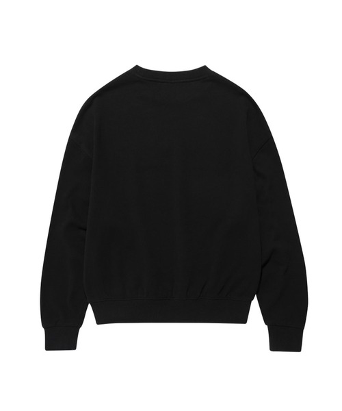 AMESWORLDWIDE(アメスワールドワイド)の「【UNISEX】AMES WORLDWIDE/デニムロゴプルオーバー(ウラケ)(スウェット・レディース・ライトグレー/ブラック・SMALL/MEDIUM/LARGE)」の3枚目の写真