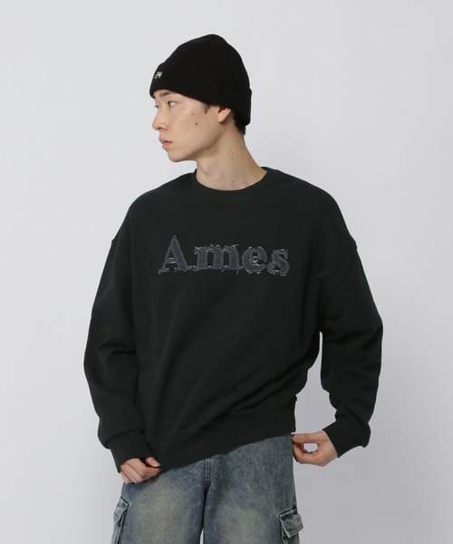 AMESWORLDWIDE(アメスワールドワイド)の「【UNISEX】AMES WORLDWIDE/デニムロゴプルオーバー(ウラケ)(スウェット・レディース・ライトグレー/ブラック・SMALL/MEDIUM/LARGE)」の19枚目の写真