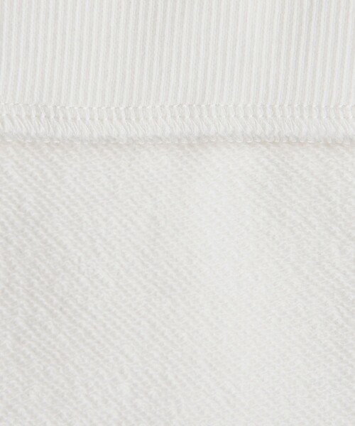 別注】＜HANDTEX＞スウェット -WELLNESS CLUB-（スウェット