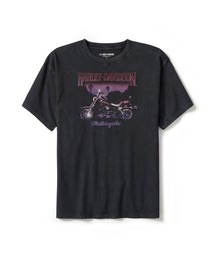 HARLEY-DAVIDSON(n[[_rbh\)̃[C_[ET_EEI[o[TCYETVc(TVc/Jbg\[)