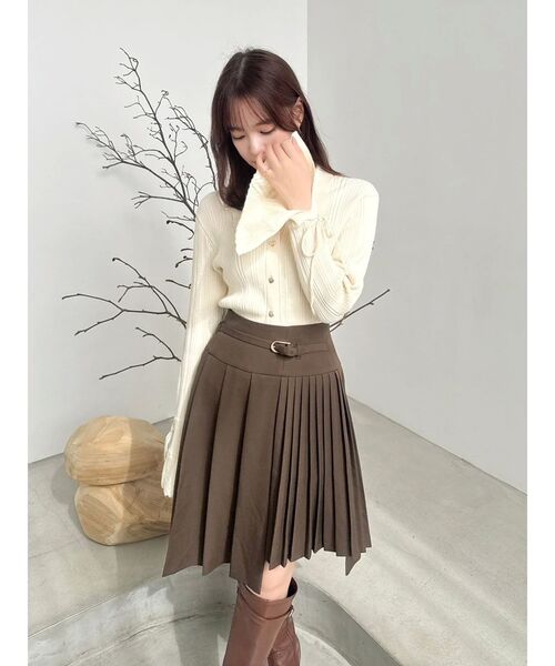 dazzlin(ダズリン)の「ミディアシメプリーツスカート(スカート・レディース・ブラウン/ネイビー・MEDIUM/SMALL)」の12枚目の写真