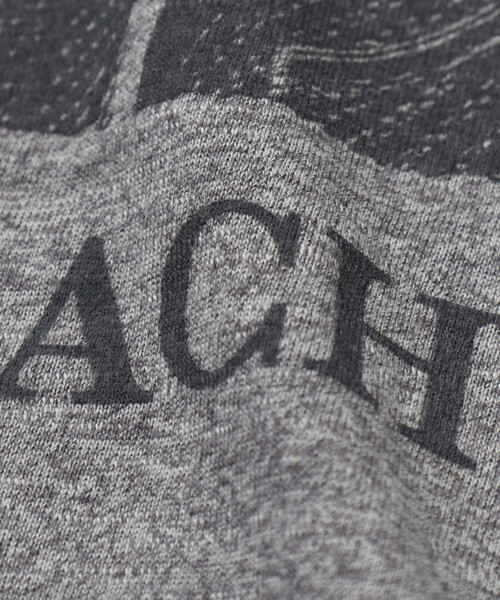Alpha Industries（アルファインダストリーズ）の「Alpha Industries/アルファ インダストリーズ 別注 ARMY バッハ プリントTシャツ（Tシャツ/カットソー・メンズ・グレー系その他・MEDIUM/LARGE/X-LARGE）」の8枚目の写真