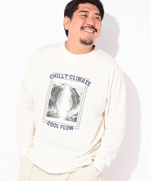 Tシャツ 長袖 メンズ 大きいサイズ コットン100% プリント CHILLY CLIMATE クルーネック カットソー B&T CLUB (ビーアンドティークラブ)