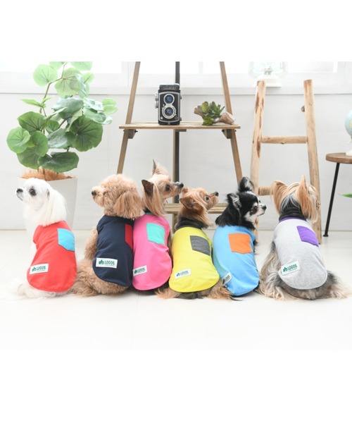 LOGOS（ロゴス）の「LOGOS/ロゴス/ドッグシャツ(ドッグウェア)（ペットウェア・メンズ・ネイビー/ブルー/イエロー/レッド/グレー/ピンク・2L/L/M/S/XS/3L）」の10枚目の写真