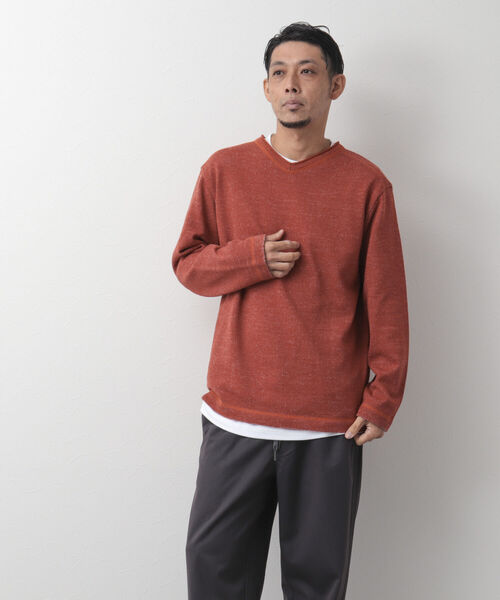 NOLLEY'S goodman(ノーリーズグッドマン)の「長袖Tシャツ付き ウォームプレーティング Vネックプルオーバーニット(ニット/セーター・メンズ・キャメル/サーモンピンク/グレー/ネイビー・XL/L/S/M)」の14枚目の写真