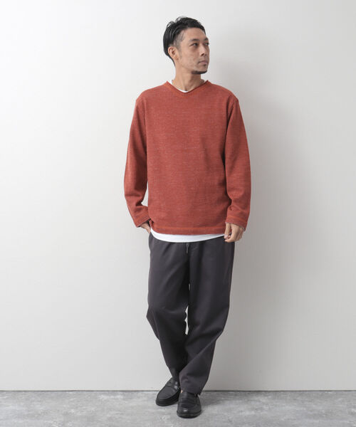 NOLLEY'S goodman(ノーリーズグッドマン)の「長袖Tシャツ付き ウォームプレーティング Vネックプルオーバーニット(ニット/セーター・メンズ・キャメル/サーモンピンク/グレー/ネイビー・XL/L/S/M)」の15枚目の写真