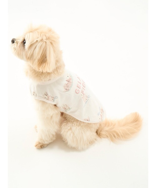 gelato pique（ジェラートピケ）の「【CAT&DOG】【販路限定商品
