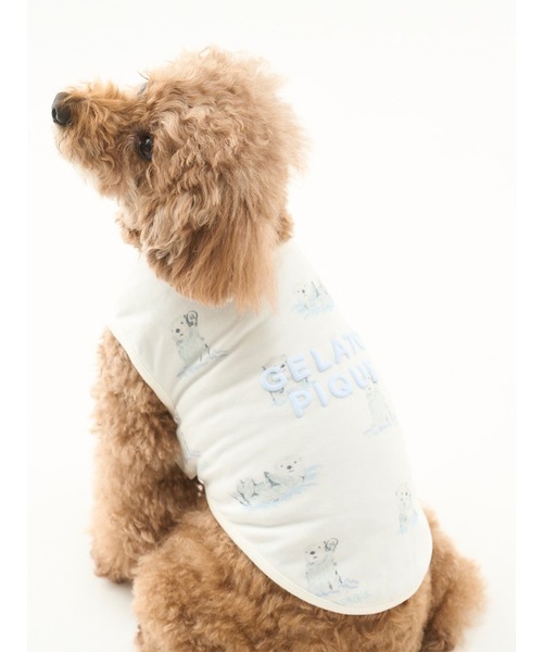 （未使用）gelat pique CAT&DOGジャガード上下セット　✳︎猫柄✳︎ gelato pique（ジェラートピケ）の「【CAT&DOG】【販路限定商品