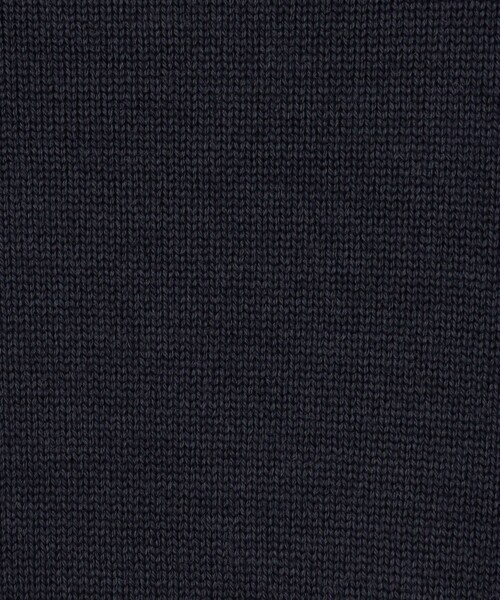 BACCA（バッカ）の「【一部WEB限定】エクストラファインメリノウール クルーネックプルオーバー（ニット/セーター・レディース・ネイビー/チャコールグレー/キャメル・S）」の4枚目の写真
