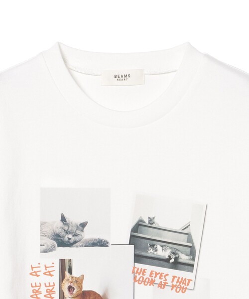 BEAMS HEART(ビームスハート)の「ネコ フォトコラージュ Tシャツ(Tシャツ/カットソー・レディース・ブラック系その他4/ホワイト系その他5/ブラック/オフホワイト・FREE)」の5枚目の写真
