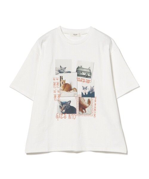 BEAMS HEART(ビームスハート)の「ネコ フォトコラージュ Tシャツ(Tシャツ/カットソー・レディース・ブラック系その他4/ホワイト系その他5/ブラック/オフホワイト・FREE)」の13枚目の写真