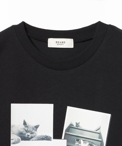 BEAMS HEART(ビームスハート)の「ネコ フォトコラージュ Tシャツ(Tシャツ/カットソー・レディース・ブラック系その他4/ホワイト系その他5/ブラック/オフホワイト・FREE)」の20枚目の写真