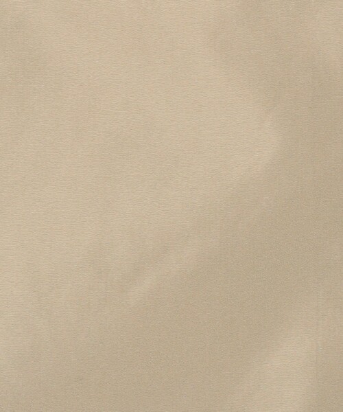 GALERIE VIE（ギャルリー ヴィー）の「メモリータフタ ハイネックショートブルゾン（ブルゾン・レディース・ライトベージュ/ネイビー/ダークブルー・FREE）」の14枚目の写真