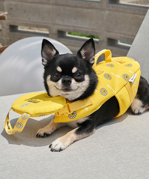 犬用水着 テディ ライフジャケット イエロー（ペットウェア）｜Bailey