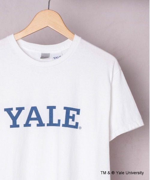 THE BAREFOOT（ベアフット）の「【 YALE / イェール 】 YALE LOGO Tee プリント 染み込み イエール カレッジT（Tシャツ/カットソー・メンズ・ホワイト/グレー/ナチュラル・MEDIUM/LARGE/X-LARGE）」の2枚目の写真