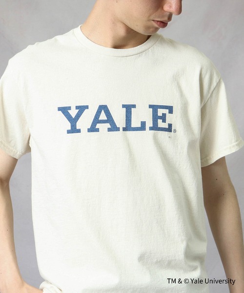 THE BAREFOOT（ベアフット）の「【 YALE / イェール 】 YALE LOGO Tee プリント 染み込み イエール カレッジT（Tシャツ/カットソー・メンズ・ホワイト/グレー/ナチュラル・MEDIUM/LARGE/X-LARGE）」の15枚目の写真