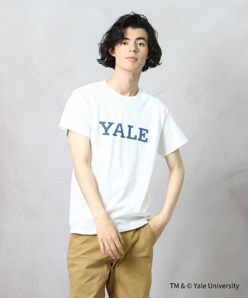 THE BAREFOOT（ベアフット）の「【 YALE / イェール 】 YALE LOGO Tee プリント 染み込み イエール カレッジT（Tシャツ/カットソー・メンズ・ホワイト/グレー/ナチュラル・MEDIUM/LARGE/X-LARGE）」の5枚目の写真