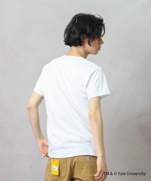 THE BAREFOOT（ベアフット）の「【 YALE / イェール 】 YALE LOGO Tee プリント 染み込み イエール カレッジT（Tシャツ/カットソー・メンズ・ホワイト/グレー/ナチュラル・MEDIUM/LARGE/X-LARGE）」の7枚目の写真