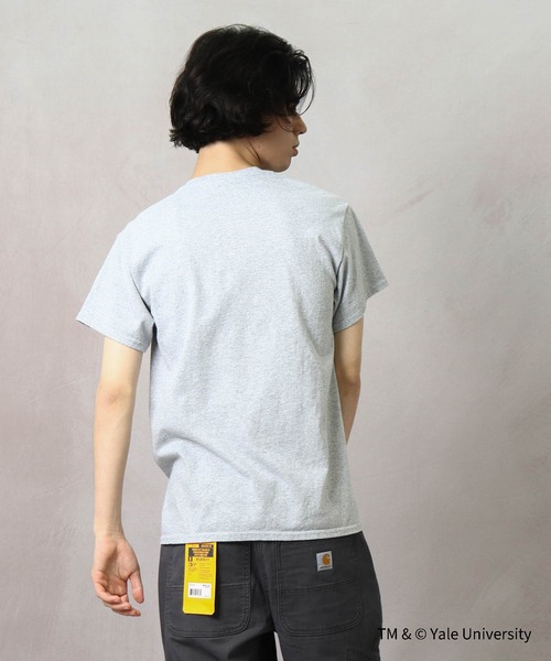 THE BAREFOOT（ベアフット）の「【 YALE / イェール 】 YALE LOGO Tee プリント 染み込み イエール カレッジT（Tシャツ/カットソー・メンズ・ホワイト/グレー/ナチュラル・MEDIUM/LARGE/X-LARGE）」の11枚目の写真