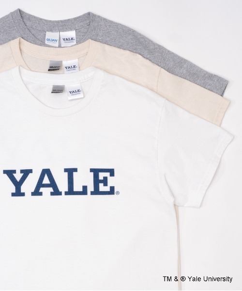THE BAREFOOT（ベアフット）の「【 YALE / イェール 】 YALE LOGO Tee プリント 染み込み イエール カレッジT（Tシャツ/カットソー・メンズ・ホワイト/グレー/ナチュラル・MEDIUM/LARGE/X-LARGE）」の20枚目の写真