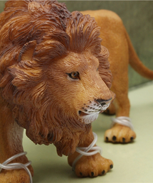 THE STATION STORE（ザ ステーション ストア）の「＜Collecta