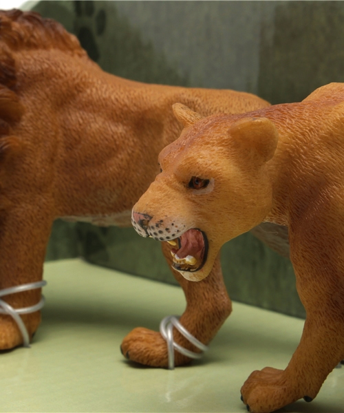 THE STATION STORE（ザ ステーション ストア）の「＜Collecta