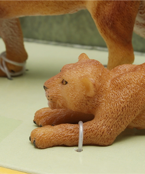 THE STATION STORE（ザ ステーション ストア）の「＜Collecta