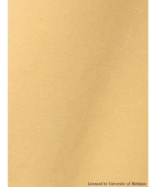 earth music&ecology（アースミュージックアンドエコロジー）の「別注 MICHIGAN ミニ裏毛チュニックパーカー（パーカー・レディース・チャコールグレー/ホワイト系その他/イエロー・FREE）」の13枚目の写真