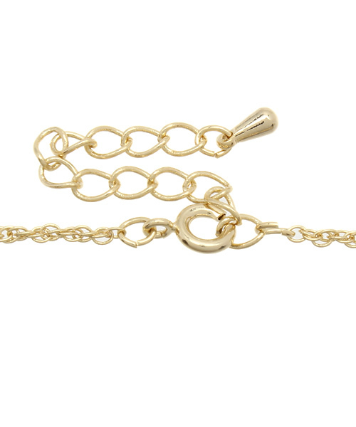 Kahiko(カヒコ)の「【Kahiko】プルメインホヌネックレス(ネックレス・レディース・ゴールド/シルバー・FREE)」の5枚目の写真