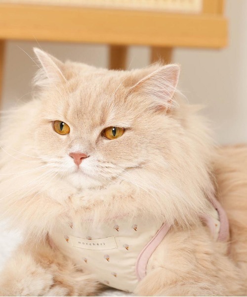 moncheri（モンシェリ）の「冷感アイスクリーム柄ハーネス+リードSET【接触冷感・ワンタッチ着脱・サイズ調整可能・８㎏まで対応】（リード/ハーネス/首輪・レディース・ピンク/ブルー・S/M/L/XL）」の22枚目の写真