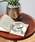 journal standard Furniture iW[iX^_[ht@j`[j́uGLASS TRAY S KX g[ DM g[iXe[Vi[jvb̑