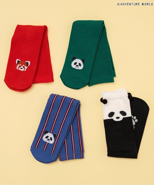 apres les cours(アプレレクール)の「アドベンチャーワールド/おやこソックス(ソックス/靴下・キッズ・ストライプ/グリーン/レッド/ブラック・12/15 /18/21/24/27)」の6枚目の写真