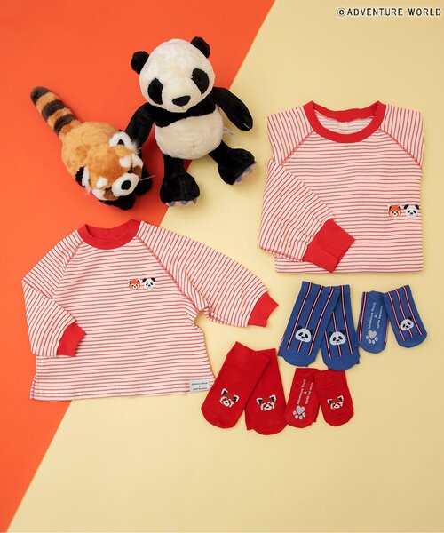 apres les cours(アプレレクール)の「アドベンチャーワールド/おやこソックス(ソックス/靴下・キッズ・ストライプ/グリーン/レッド/ブラック・12/15 /18/21/24/27)」の9枚目の写真