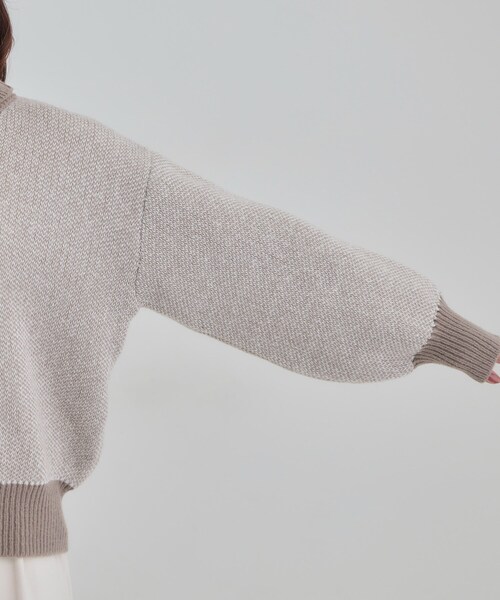 SHOO・LA・RUE（シューラルー）の「【S-LL】さりげないラメ感 配色ジャカード タートルネックニット（ニット/セーター・レディース・ブラック/ブラウン系/ライトグレー/ワインレッド・01/02/03/04）」の12枚目の写真